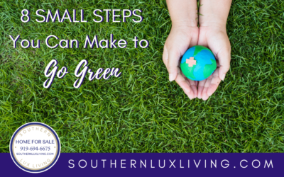 8 Small Steps You Can Make To Go Green