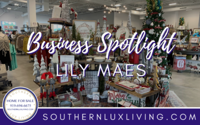 BUSINESS SPOTLIGHT: LILYMAES