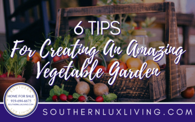 6 Tips For Creating An Amazing Vegetable Garden