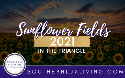 Sunflower Fields 2021 In The Triangle