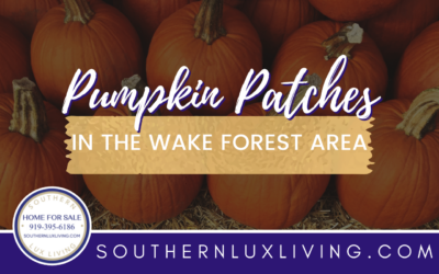 Pumpkin Patches in the Wake Forest Area