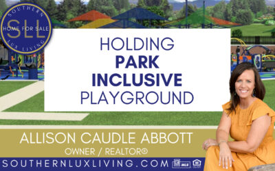 The Holding Park Inclusive Playground: An Area for Everyone to Have Fun