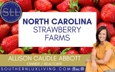 U-Pick Strawberry Picking Locations in the Raleigh, NC Area
